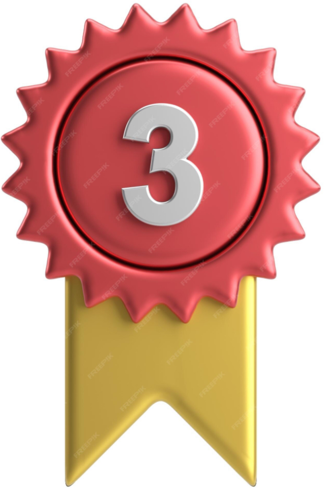 1. Yıl Yıldızı